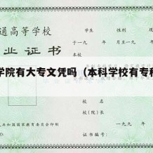 本科学院有大专文凭吗（本科学校有专科生吗）