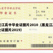 黑龙江高中毕业证图片2010（黑龙江高中毕业证图片2019）