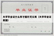 大学毕业证什么样子图片可以用（大学毕业证原图）