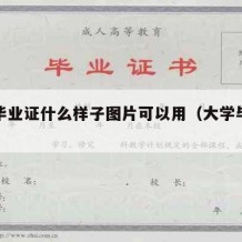 大学毕业证什么样子图片可以用（大学毕业证原图）