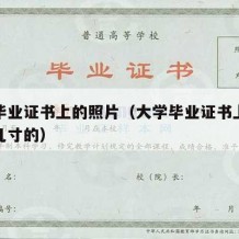 大学毕业证书上的照片（大学毕业证书上的照片是几寸的）