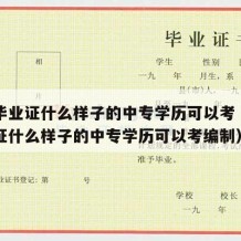 中专毕业证什么样子的中专学历可以考（中专毕业证什么样子的中专学历可以考编制）