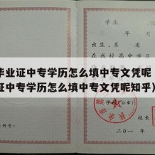 中专毕业证中专学历怎么填中专文凭呢（中专毕业证中专学历怎么填中专文凭呢知乎）