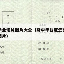 高中毕业证片图片大全（高中毕业证怎么填写样本图片）