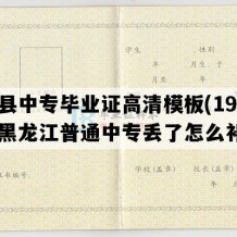 宾县中专毕业证高清模板(1992年黑龙江普通中专丢了怎么补）