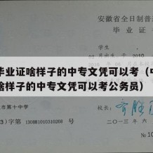 中专毕业证啥样子的中专文凭可以考（中专毕业证啥样子的中专文凭可以考公务员）