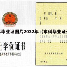 本科毕业证图片2022年（本科毕业证长啥样）