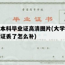 大学本科毕业证高清图片(大学本科毕业证丢了怎么补)