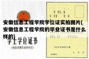 安徽信息工程学院学位证实拍图片(安徽信息工程学院的毕业证书是什么样的)