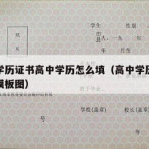 高中学历证书高中学历怎么填（高中学历证明填写模板图）