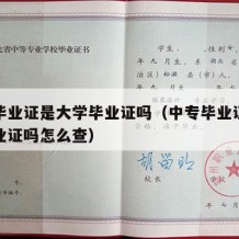 中专毕业证是大学毕业证吗（中专毕业证是大学毕业证吗怎么查）