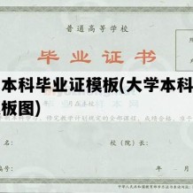 大学本科毕业证模板(大学本科毕业证模板图)