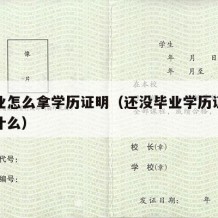 没毕业怎么拿学历证明（还没毕业学历证明材料是什么）