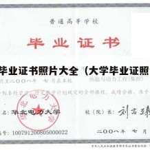 大学毕业证书照片大全（大学毕业证照片 图样）