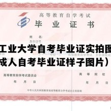 南京工业大学自考毕业证实拍图片（江苏成人自考毕业证样子图片）