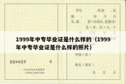 1999年中专毕业证是什么样的（1999年中专毕业证是什么样的照片）