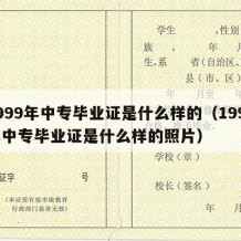 1999年中专毕业证是什么样的（1999年中专毕业证是什么样的照片）