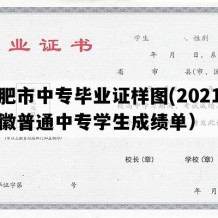 合肥市中专毕业证样图(2021年安徽普通中专学生成绩单）