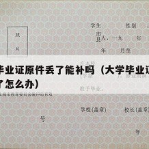 大学毕业证原件丢了能补吗（大学毕业证原件弄丢了怎么办）