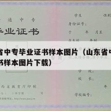 山东省中专毕业证书样本图片（山东省中专毕业证书样本图片下载）