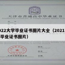 2022大学毕业证书图片大全（2021大学毕业证书图片）