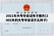 2021年大专毕业证样子图片(2002年的大专毕业证什么样子)