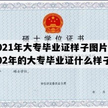 2021年大专毕业证样子图片(2002年的大专毕业证什么样子)