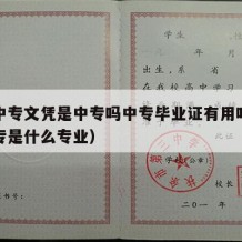 电大中专文凭是中专吗中专毕业证有用吗（电大中专是什么专业）