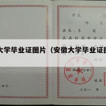 安徽大学毕业证图片（安徽大学毕业证图片高清）