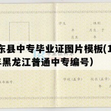 鸡东县中专毕业证图片模板(1993年黑龙江普通中专编号）