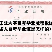 合肥工业大学自考毕业证模板图片（安徽成人自考毕业证是怎样的）