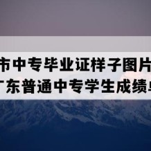 高州市中专毕业证样子图片(2007年广东普通中专学生成绩单）