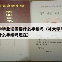 补大学毕业证需要什么手续吗（补大学毕业证需要什么手续吗现在）