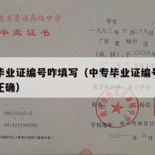 中专毕业证编号咋填写（中专毕业证编号咋填写才正确）