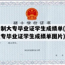 全日制大专毕业证学生成绩单(全日制大专毕业证学生成绩单图片)