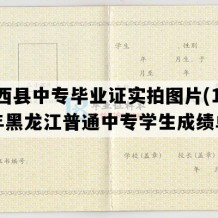 兰西县中专毕业证实拍图片(1995年黑龙江普通中专学生成绩单）