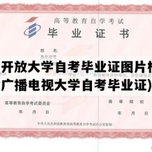 深圳开放大学自考毕业证图片模板(深圳广播电视大学自考毕业证)