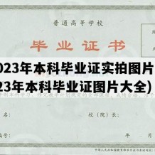 2023年本科毕业证实拍图片(2023年本科毕业证图片大全)