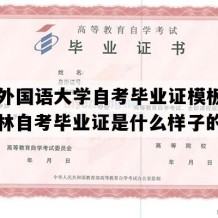 吉林外国语大学自考毕业证模板图片（吉林自考毕业证是什么样子的）