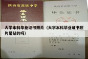 大学本科毕业证书照片（大学本科毕业证书照片是贴的吗）