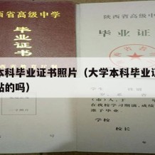 大学本科毕业证书照片（大学本科毕业证书照片是贴的吗）