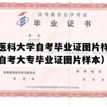 新疆医科大学自考毕业证图片样本（新疆自考大专毕业证图片样本）