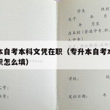 专升本自考本科文凭在职（专升本自考本科文凭在职怎么填）