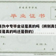 辨别真伪中专毕业证是真的吗（辨别真伪中专毕业证是真的吗还是假的）