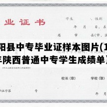 合阳县中专毕业证样本图片(1996年陕西普通中专学生成绩单）