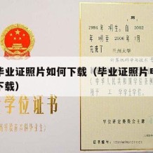 大学毕业证照片如何下载（毕业证照片电子档怎么下载）