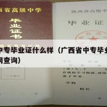 广西中专毕业证什么样（广西省中专毕业证在哪个网查询）