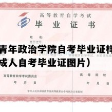 山东青年政治学院自考毕业证样本（山东成人自考毕业证图片）