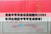 青县中专毕业证实拍图片(1993年河北地区中专学生成绩单）