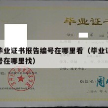 本科毕业证书报告编号在哪里看（毕业证书报告编号在哪里找）